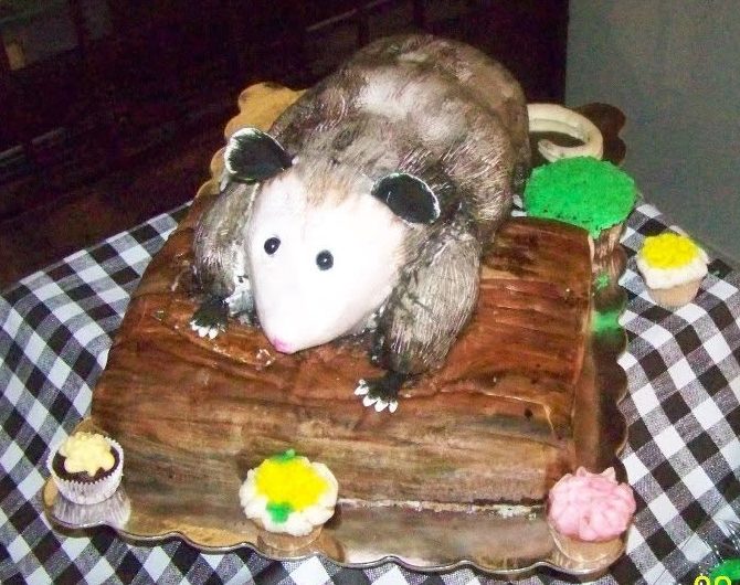 Possum cake on a log for George Jones' 80th birthday